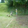 2012 » Volejbalový turnaj 2012